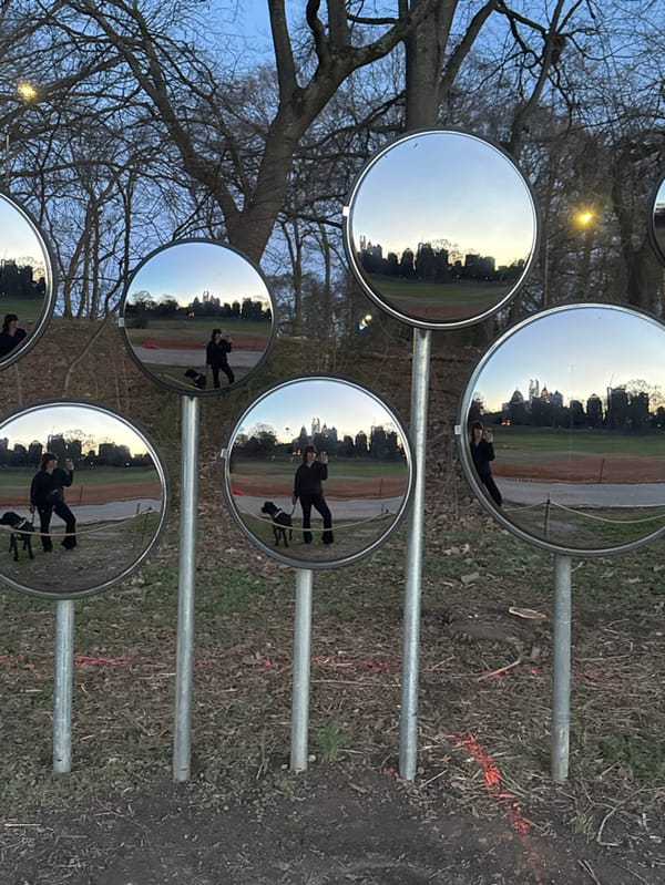 Evening park activities documented in Atlanta during late-night hours