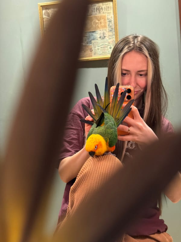 Woman poses with parrot perched on cup in Khimki