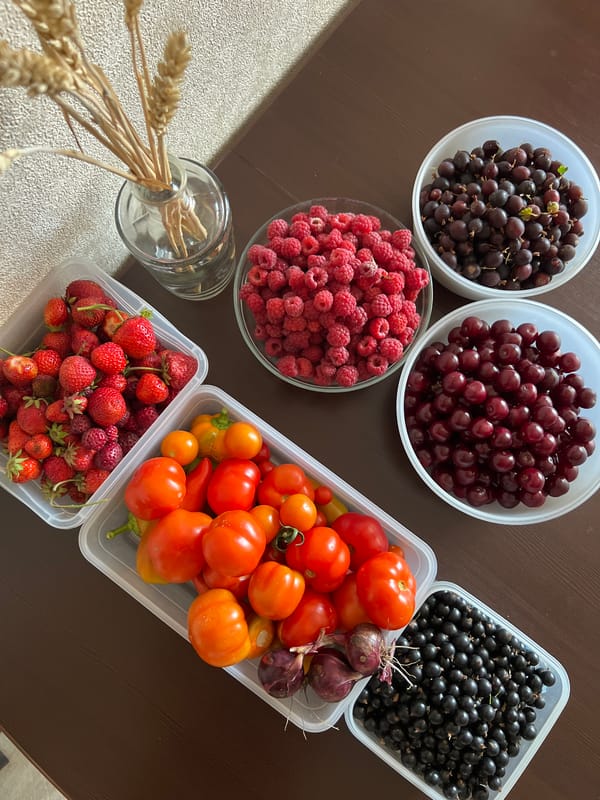 Summer morning at home: fresh produce, flowers, and a sleepy cat