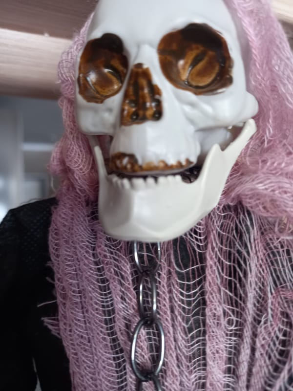 Witness documents diverse objects from skull to mountains