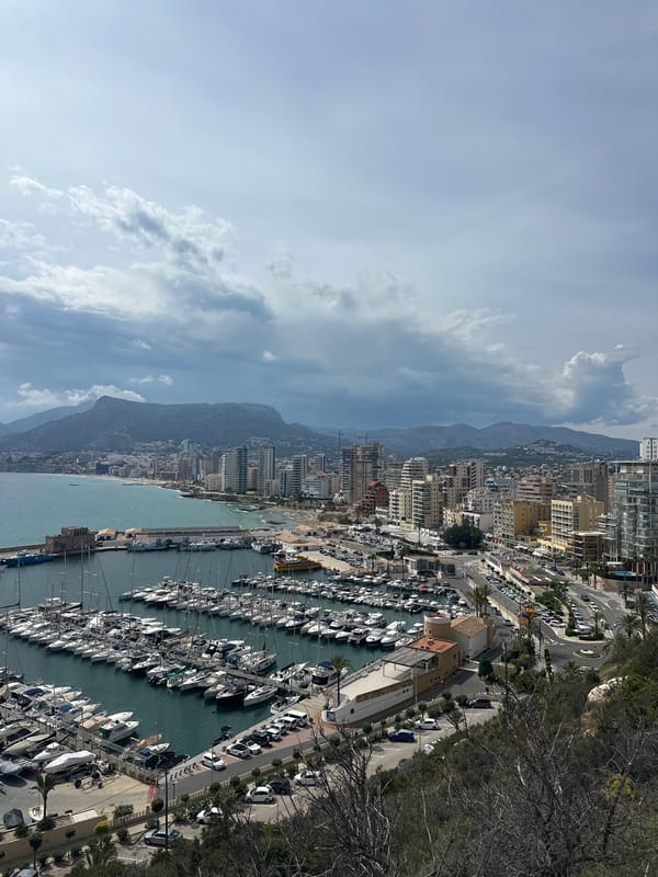 Aerial view captures busy San Gabriel marina on sunny afternoon
