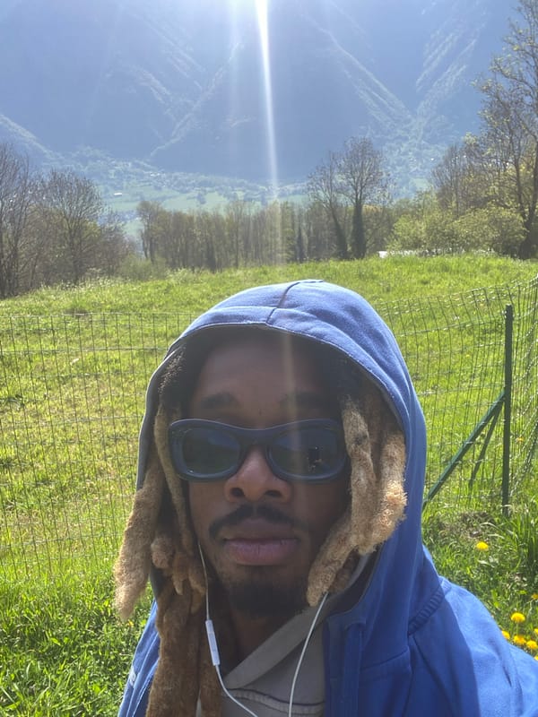 Person spotted in French Alpine village during sunny morning