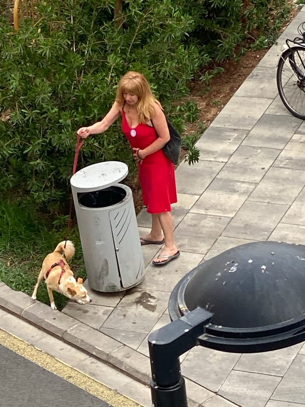 Early morning street life across a Valencia neighborhood