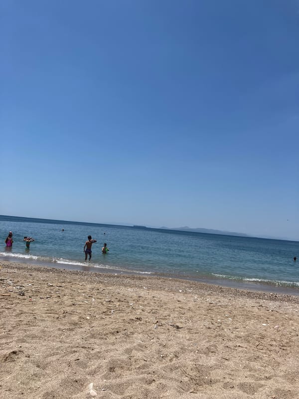 Sunny beach day — swimming, shore, and pebble coastline