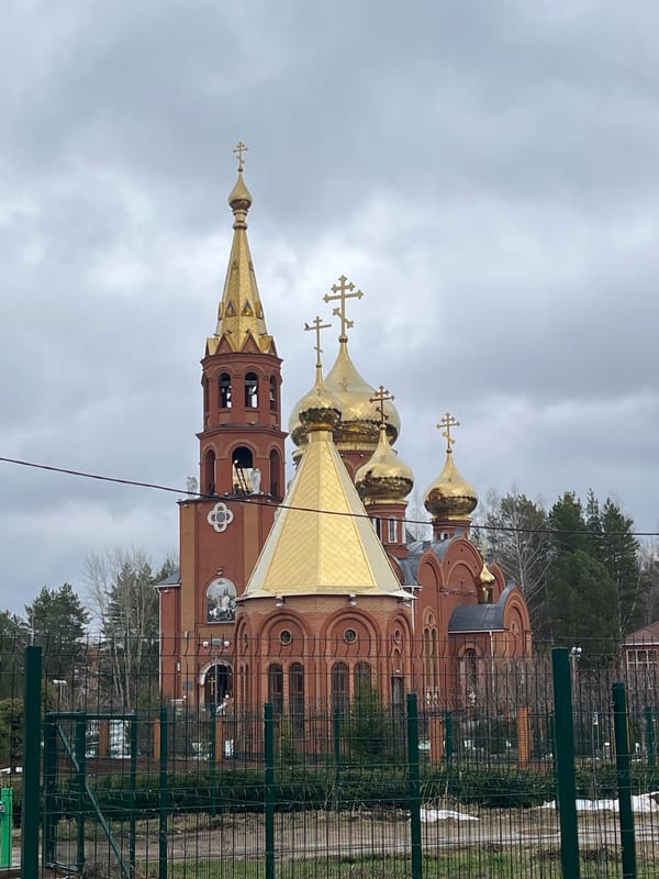 Woman in green jacket spotted driving, shopping in Chaikovsky