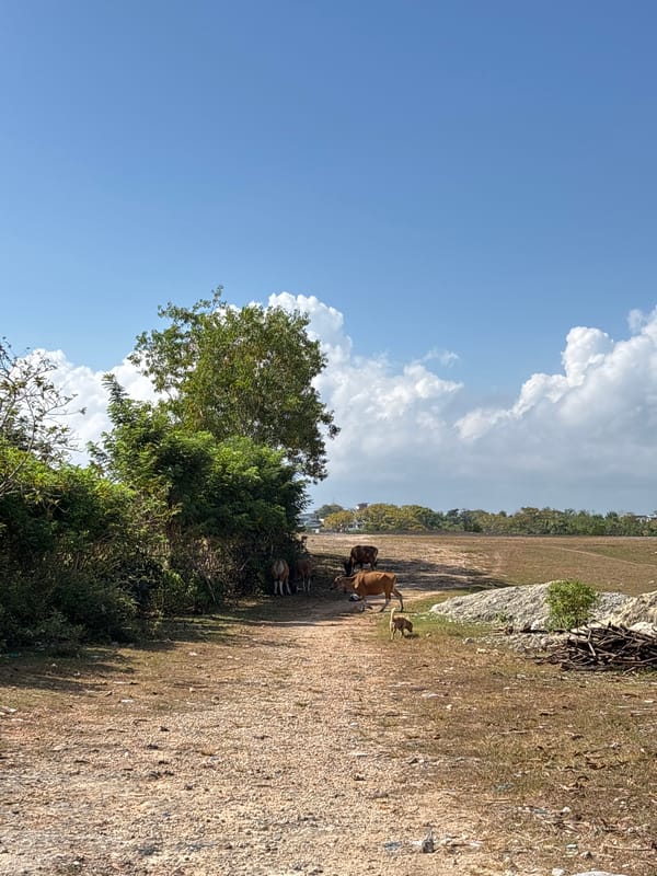 Empty soccer facilities documented in Kuta Selatan countryside