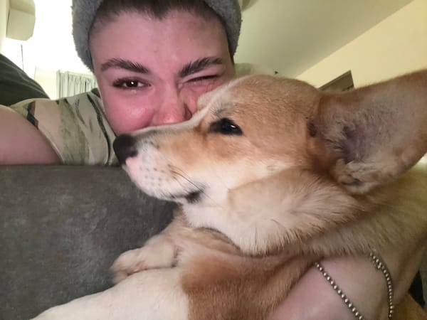 Votkinsk resident shares casual pet moments with corgi and cat