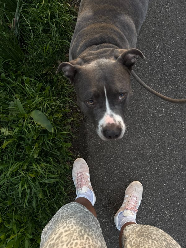 Spring evening scenes documented across Esch-sur-Alzette, Luxembourg