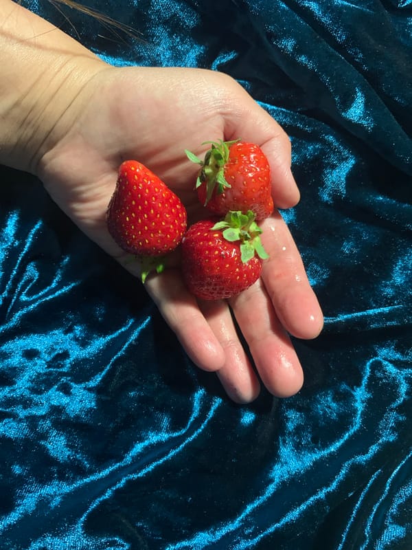 Spring garden moments: strawberries, peonies captured during rainy afternoon