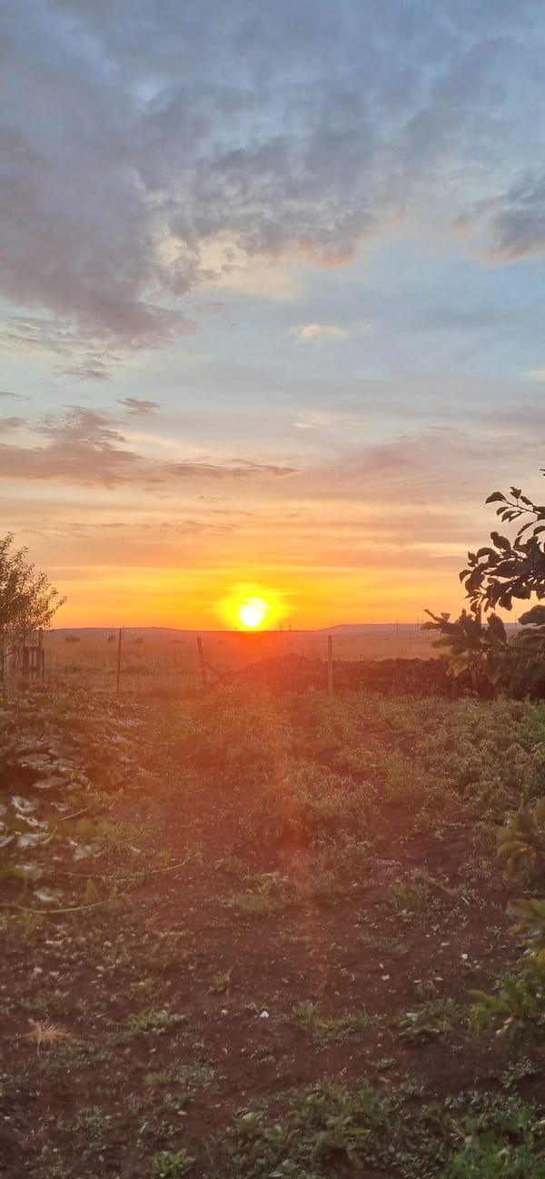 Sunset, garden, and portraits from a rural Ukrainian evening