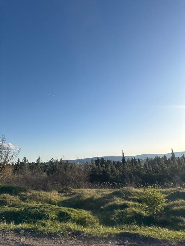 Spring day captured in five photos across Tbilisi