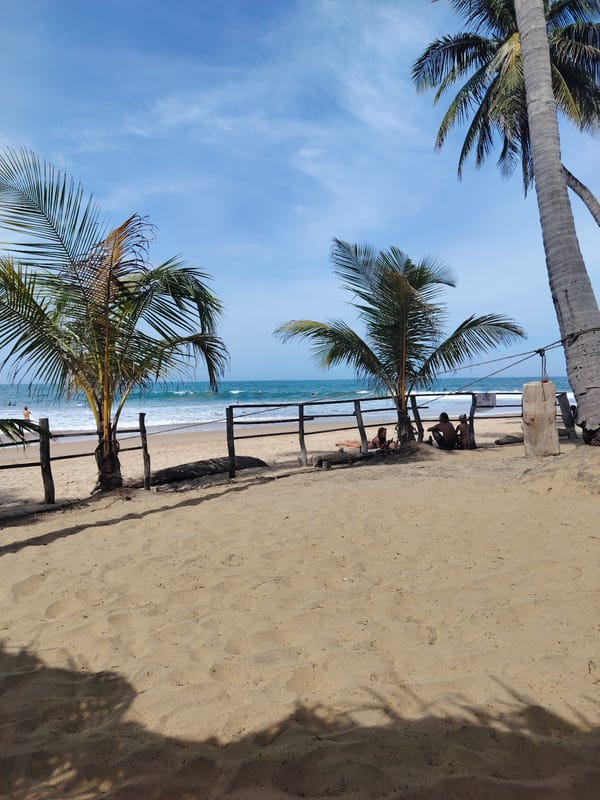 Tropical beach day with palm trees and gentle waves