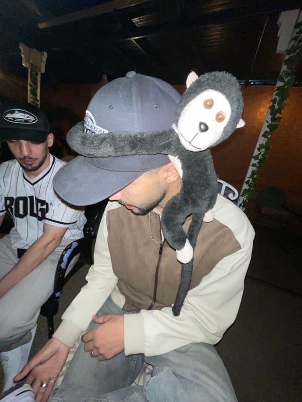 Young men spotted with stuffed monkey in Meknes evening scene