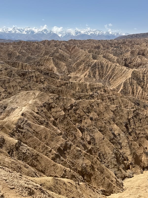 Dramatic eroded canyon landscapes documented near Tong, Kyrgyzstan