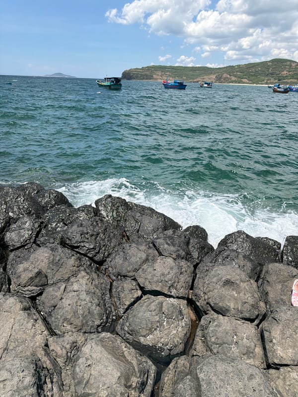 Visiting Gành Đá Đĩa's hexagonal basalt coast in Phú Yên