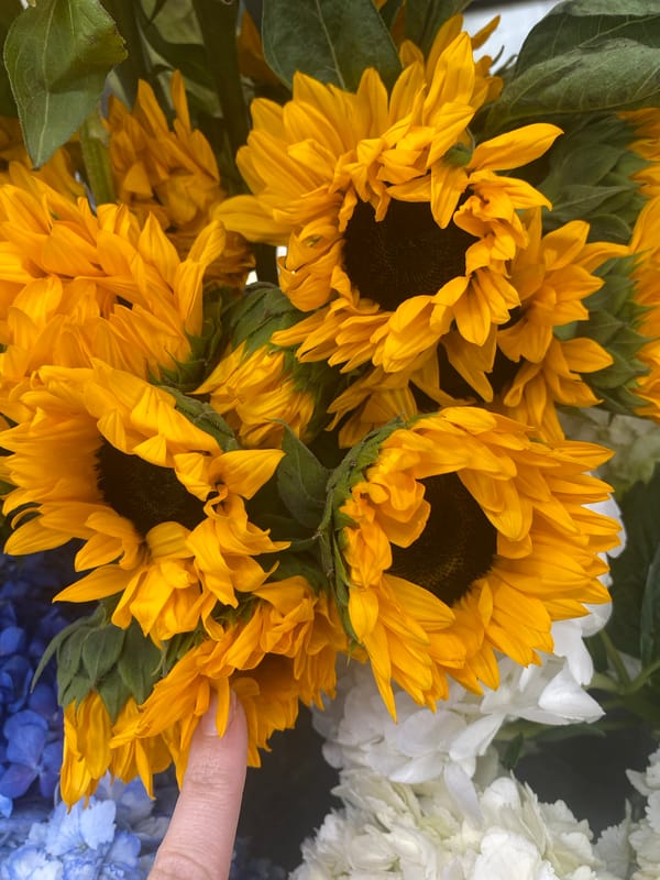 Early morning flower shop operations documented in Yekaterinburg