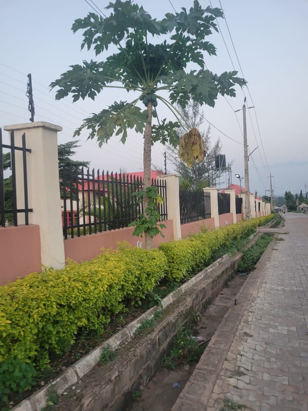 Neighborhood scenes: gates, greenery, power lines, and a water tower