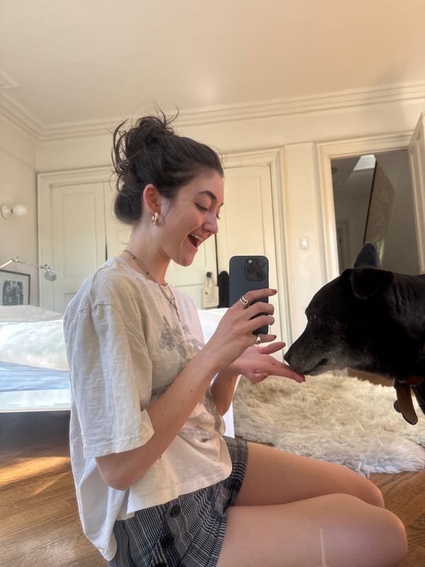 Woman documents casual evening moments with pet, selfies in NYC