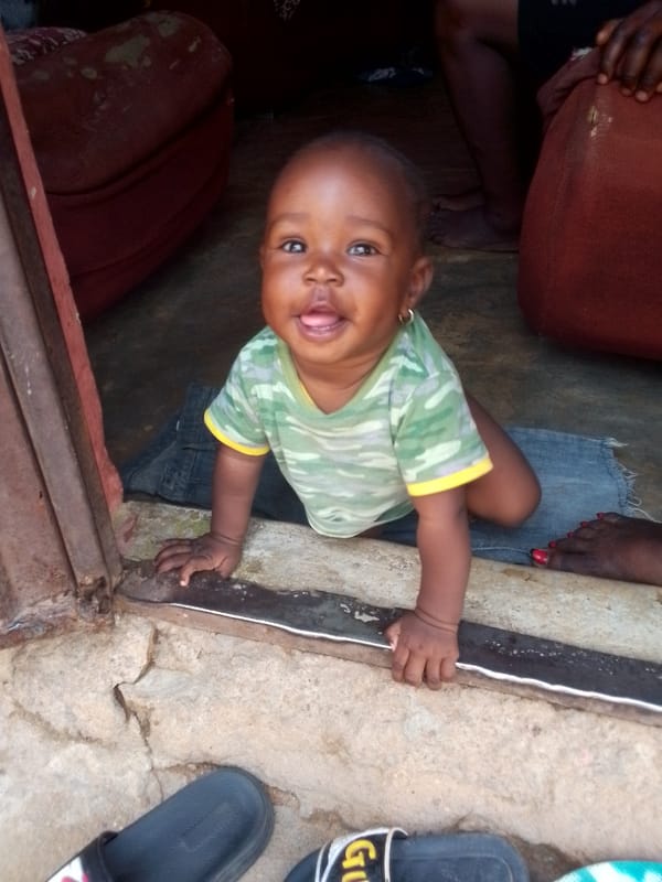 Daily life moments captured in Narayi: baby crawling, onions displayed