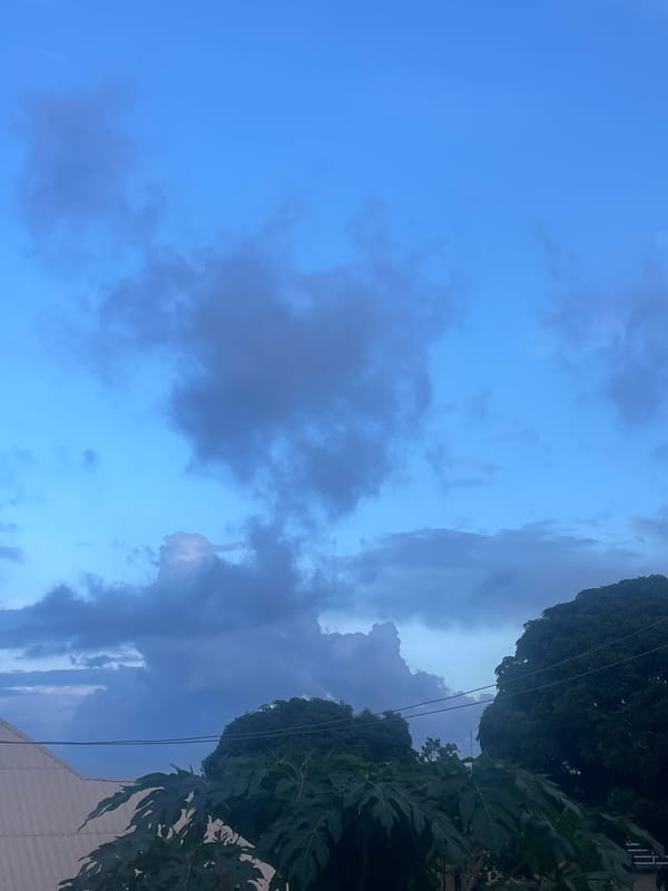 Dusk in Jos: neighborhood textures, plants, and brooding skies