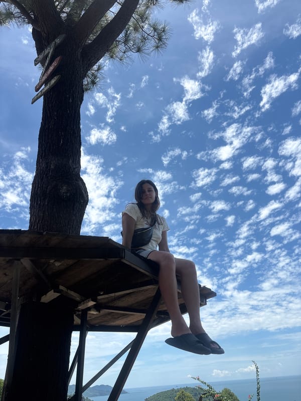 Hilltop Sơn Trà: tree platforms, coastal views, and roaming sheep