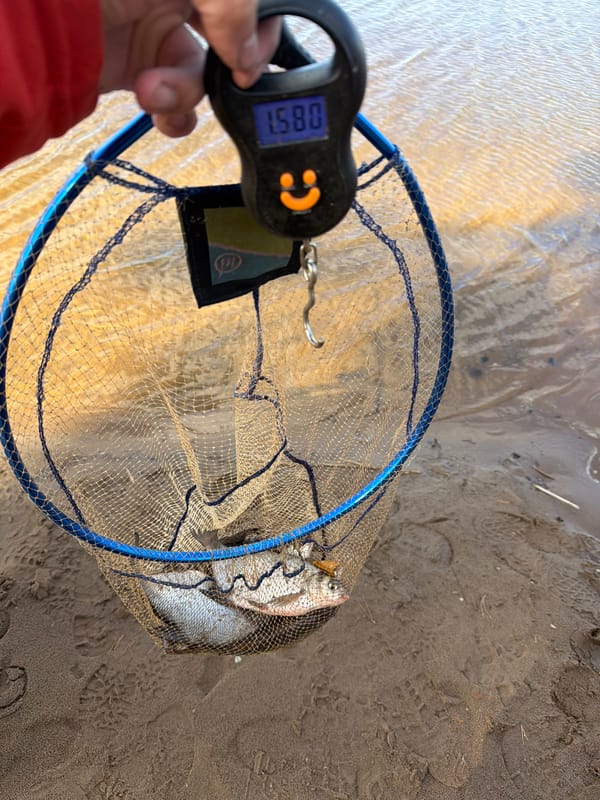 Angler weighs fresh catch on Chaikovsky lake shore