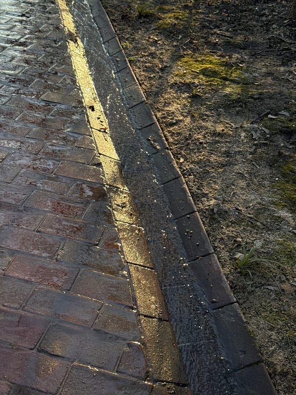 Moscow urban scenes: drainage system and classical architecture documented