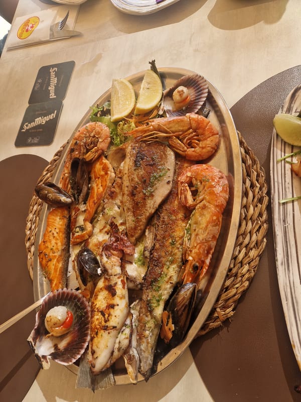 Visitor documents sharks swimming at Palma Aquarium, Spain