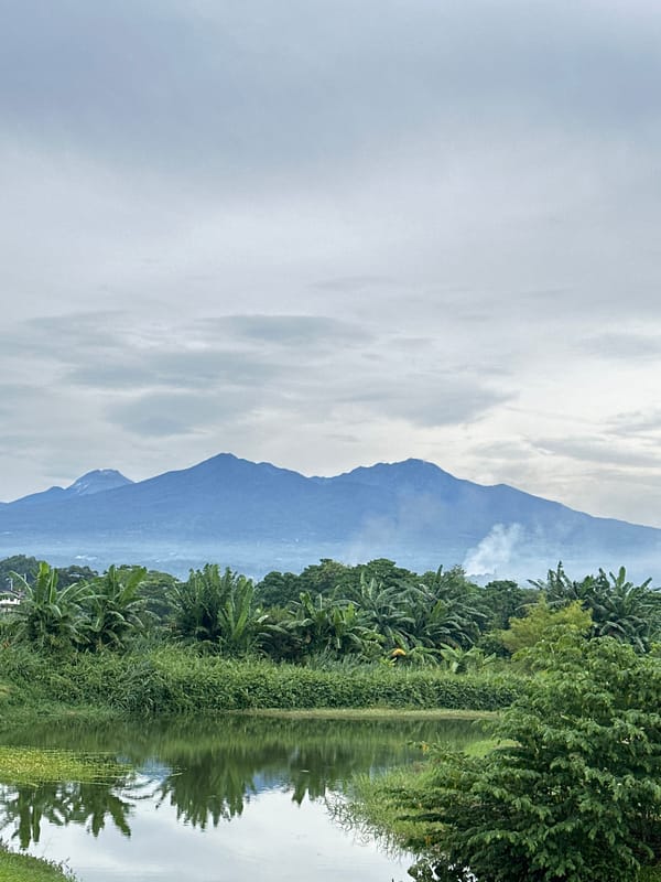 Rural Davao landscapes, flower fields documented during morning hours