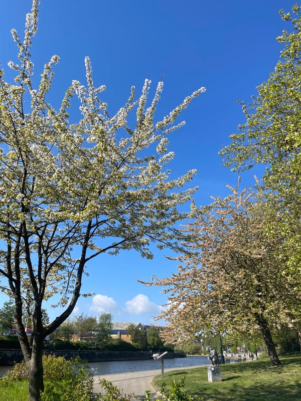 Spring afternoon documented along Maidstone waterway with clear skies