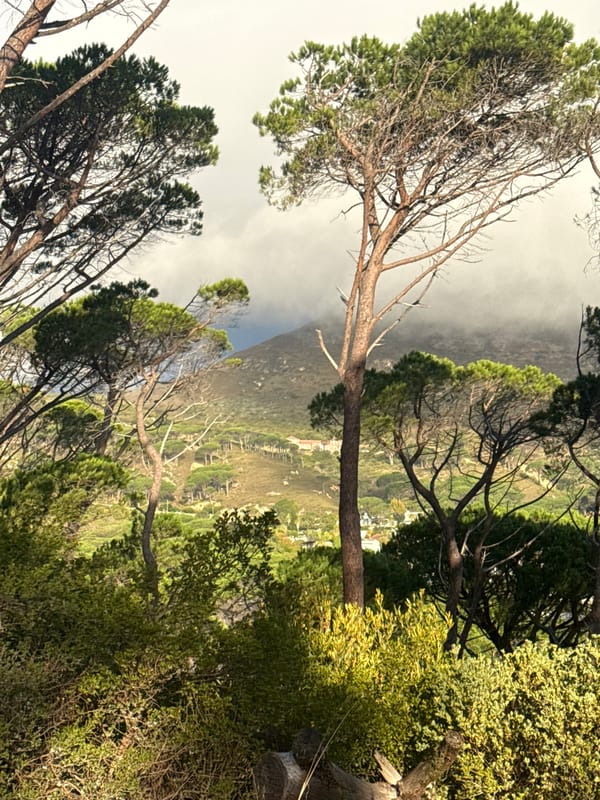 Scenic Cape Town mountain and bay views captured