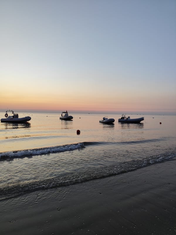 Quiet Adriatic morning with shells, soft light, and calm water.
