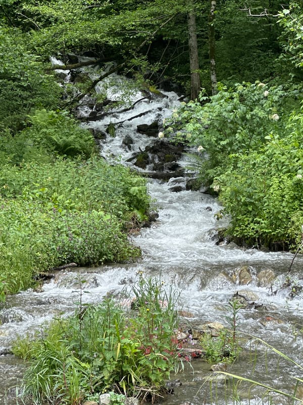 Tourist captures scenic moments in Krasnaya Polyana mountain resort