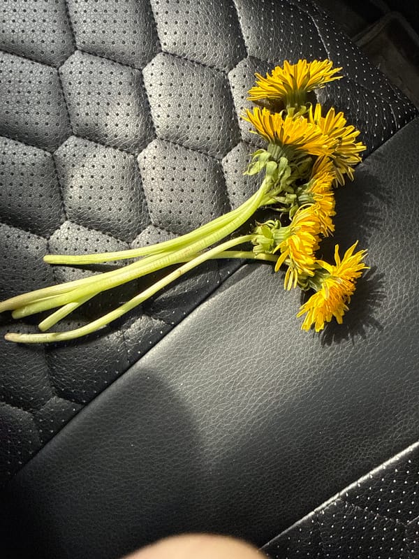 Ordinary moments captured in Moscow: flowers and pedestrians