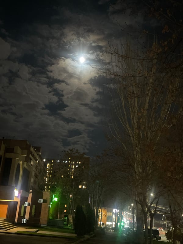 Spring night moon and blossoms observed across Yerevan