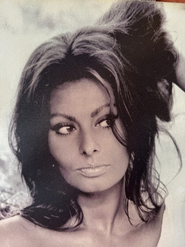 Visitor explores dinosaur museum shop in Cocoa Beach