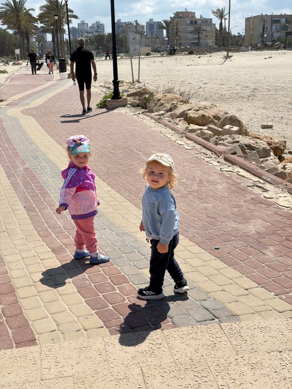 Morning fishing activity observed along Al Jizah coastline