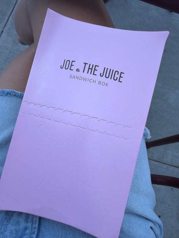 Person with pink paper folder observed in San Diego