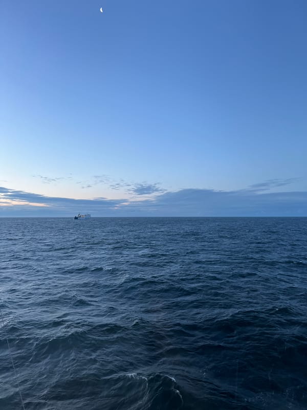 Crescent moon rises over a still ocean at dusk