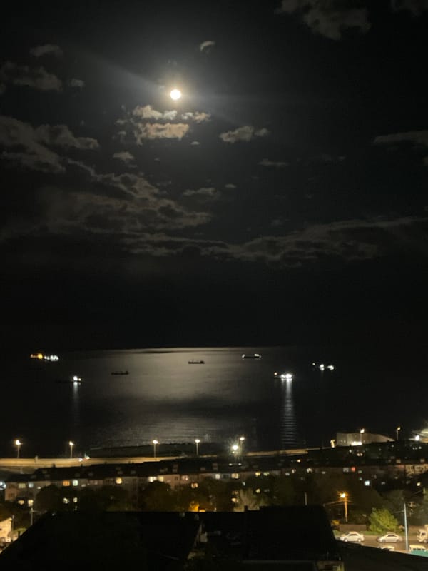 Moonlit night scene observed over Vladivostok bay coastline
