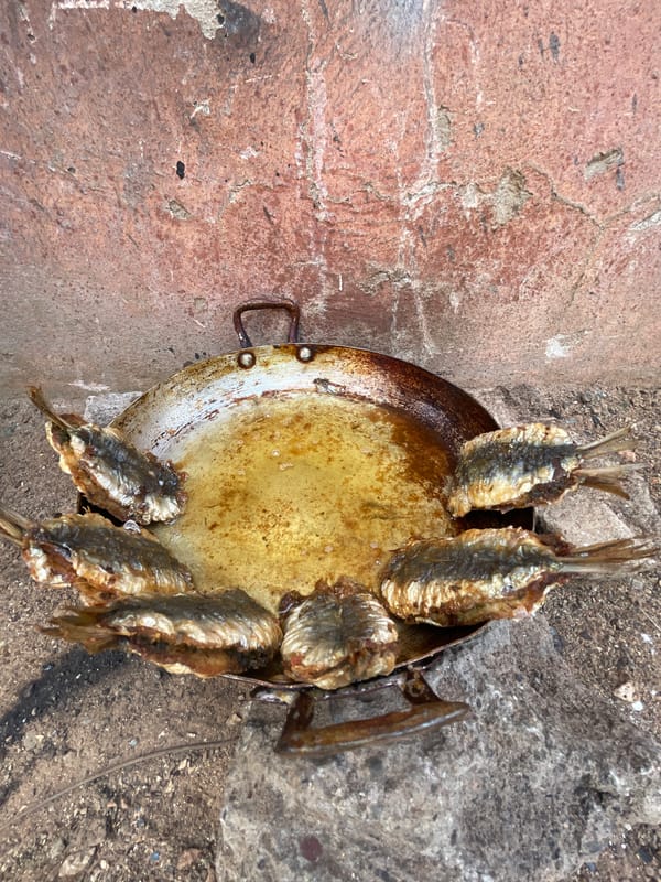Fish cooking captured in frying pan in Safi, Morocco