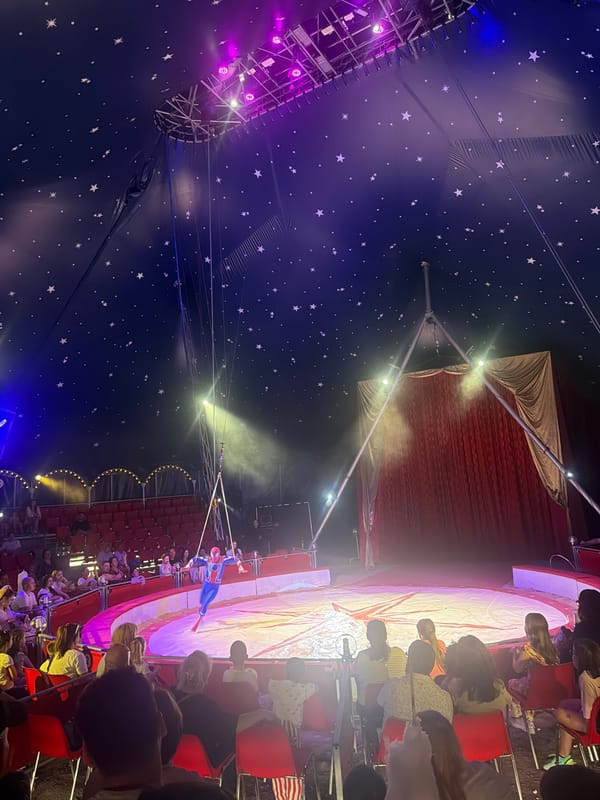 Circus performances feature rope acts and synchronized dancers
