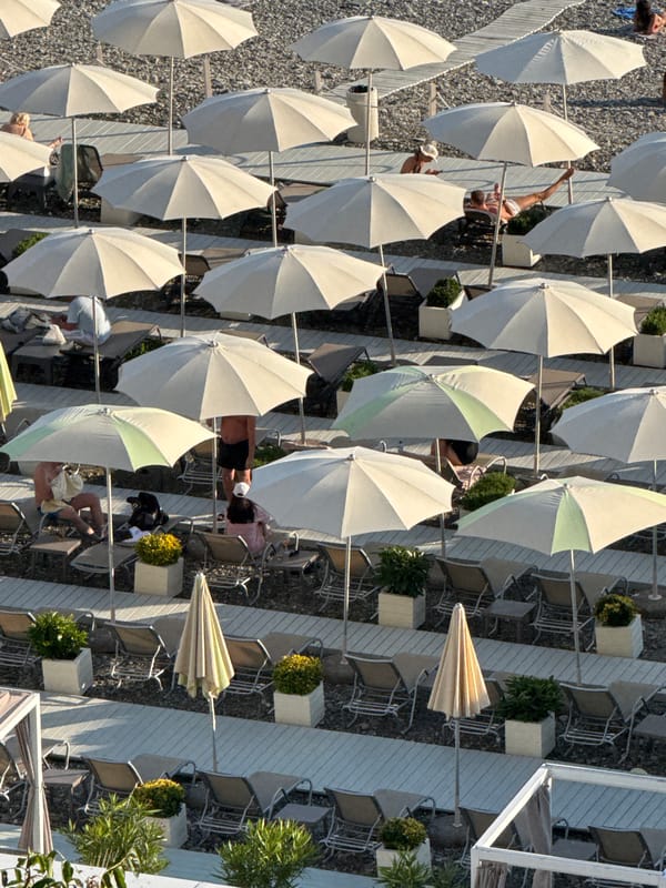 Summer day memories captured across Sochi's beaches and streets
