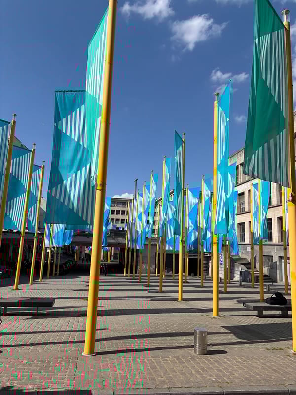 Brussels street scenes captured showing decorative flags and ornate buildings