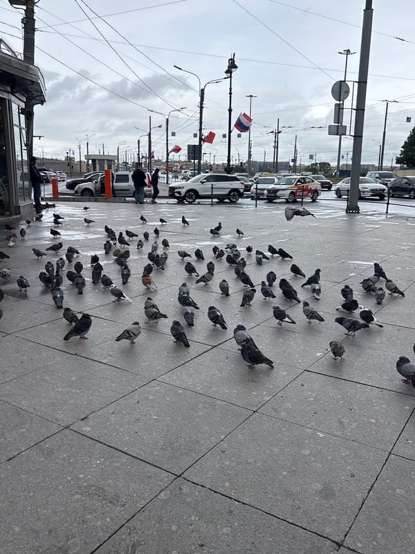 Overcast day street scenes documented across Saint Petersburg