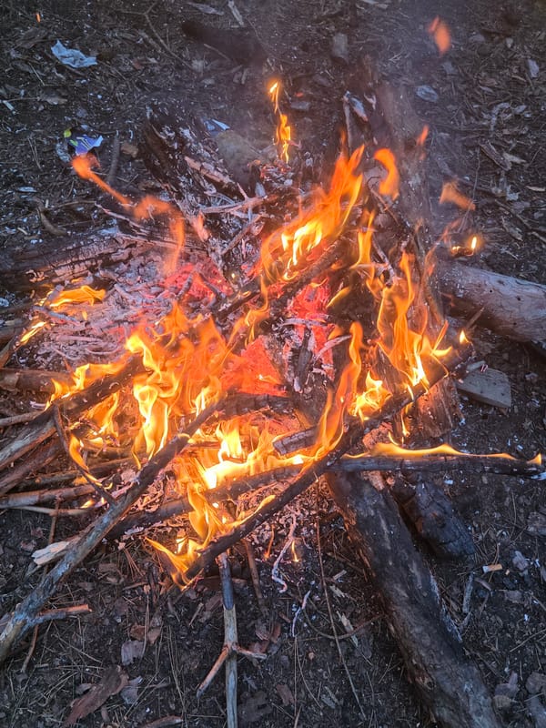 Bonfire burns in wooded area near Gorna Oryahovitsa, Bulgaria