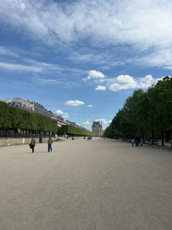 Woman takes selfie in Tuileries Garden near Louvre