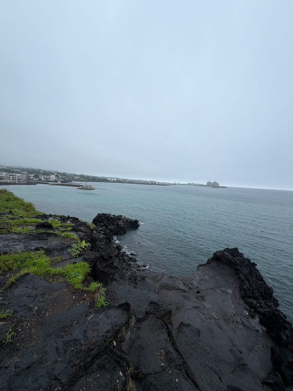 Jeju's volcanic coastline on a grey, breezy morning