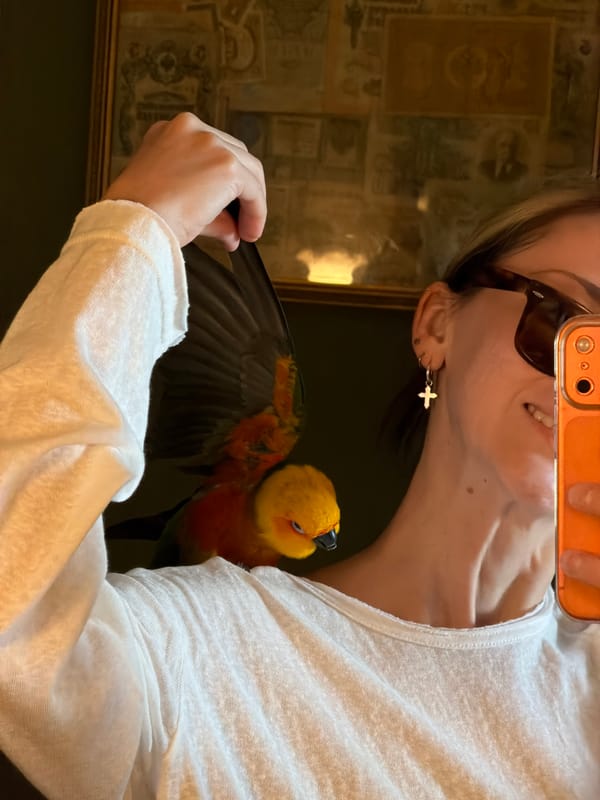 Mirror selfie with a colorful parrot perched on shoulder