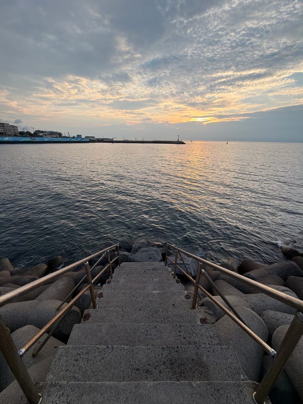 Jeju City coastline at golden hour, multiple angles